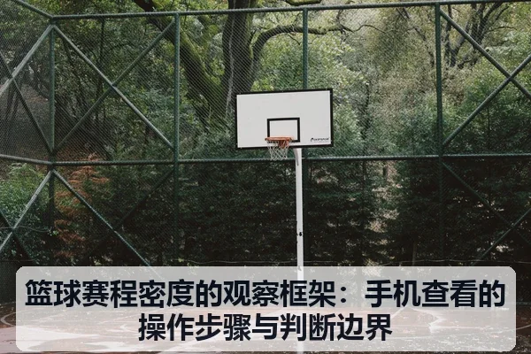 篮球赛程密度的观察框架:手机查看的操作步骤与判断边界(leyu)